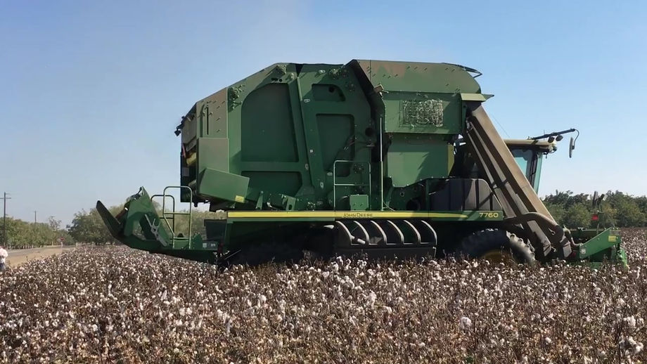 USA COTTON MOVIES_4